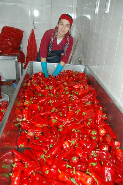 Mis Kokulu Tarhanayı Yapma Zamanı Geldi