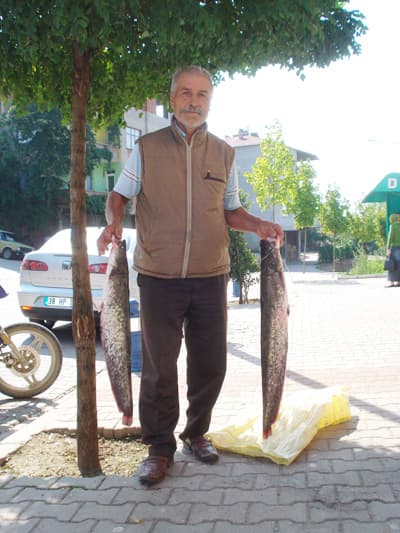 Seçimleri Kaybeden Muhtar, Eski Mesleğine Geri Döndü