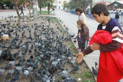 Gar Meydanı'ndaki Güvercinler İlgi Odağı Oluyor