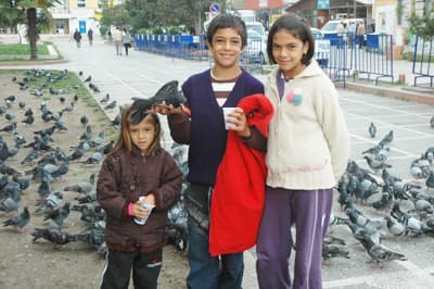 Gar Meydanı'ndaki Güvercinler İlgi Odağı Oluyor
