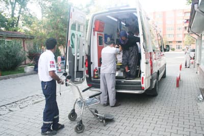 Yaşlı Kadını Az Kalsın Köpekler Parçalıyordu