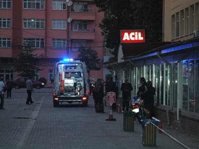 Kedinin Yaptığına Bakın!