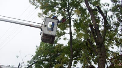 <font face="Arial" size="2"><strong>Okul M&uuml;d&uuml;r&uuml;nden SEDAŞ&rsquo;a Teşekk&uuml;r</strong></font> <p><font face="arial,helvetica,sans-serif" size="2">Madanoğlu İlk&ouml;ğretim Okulu M&uuml;d&uuml;r&uuml; Recep Furuncu,<font color="#333399"> &ldquo;Okul bah&ccedil;emizin kenarındaki ağa&ccedil;ların dalları uzamıştı ve enerji nakil hattına temas ediyordu. &Ouml;zellikle r&uuml;zgarlı havalarda &ccedil;ok tedirgin oluyorduk. Ağa&ccedil;ların budanması talebimizi SEDAŞ&rsquo;a yazılı olarak bildirdik. SEDAŞ ekipleri konuyu hemen &ccedil;alışma programlarına dahil ederek, okulun kapalı olduğu Cumartesi g&uuml;n&uuml; okulumuz bah&ccedil;esinde &ccedil;alışma yaptılar. Ağa&ccedil;ların iletkenlere temasından kaynaklanacak riskleri bertaraf ettiler. &Ccedil;ocukların okulda olmadığı bir g&uuml;n&uuml;n tercih edilmesini SEDAŞ&rsquo;ın eğitime ve iş g&uuml;venliğine g&ouml;sterdiği hassasiyet olarak değerlendiriyor, SEDAŞ Akyazı İşletme Başm&uuml;hendisliği &ccedil;alışanlarına yaptıkları &ccedil;alışma ve g&ouml;sterdikleri hassasiyet nedeniyle teşekk&uuml;r ediyorum&rdquo;</font> dedi.</font></p>