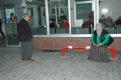 Sakarya'da Domuz Gribi Şüphesi