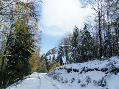 Sakarya'nın İlk Karı Yağdı