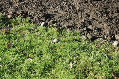 Sapanca'da Patlamamış El Bombası Bulundu