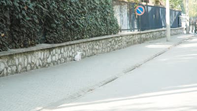 Çark Caddesi'ndeki Şüpheli Paket Korkuttu