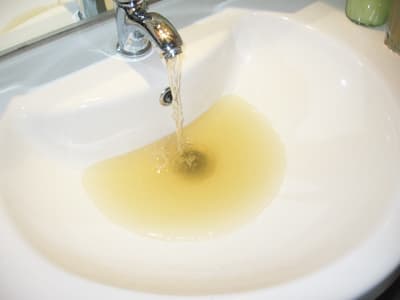 <p><strong><font face="Arial" size="2"></font></strong></p>