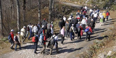 Doğaseverler Kartepe'de