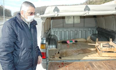 Bu Kez Trafik Kurbanı Bir Hayvan Oldu