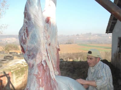 Sakarya'da Kurban Manzaraları