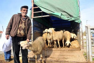 <strong><font face="Arial" size="2">Her Zaman Yanınızdayız</font></strong> <p><font size="2"><font face="Arial">&Uuml;reticinin elinde kalan hayvanlarını periyodik şekilde sıkıntı olmadan keseceklerini ifade eden U&ccedil;ar, <font color="#333399">&quot;&Uuml;reticiler sıkıntıya d&uuml;şt&uuml;ğ&uuml;nde kurumumuz her zaman devreye girmiştir. &Uuml;reticilerin sıkıntısını gidermeyi hedefleyen bir politikamız var. Bunun i&ccedil;in &uuml;retici ve t&uuml;keticilerimizi korumaya y&ouml;nelik tedbirler alındı. Bu bayramda hayvanları ellerinde kalan &uuml;reticilerimizin kurbanlıklarını alıyoruz. Genel m&uuml;d&uuml;rl&uuml;ğ&uuml;m&uuml;z elde kalan hayvanların hepsinin kesileceğini duyurdu. Bu a&ccedil;ıklamanın ardından bayramın &uuml;&ccedil;&uuml;nc&uuml; g&uuml;n&uuml;nden itibaren elde kalan kurbanlıkları almaya başladık.&quot; </font>dedi.<br /><br />Hayvanı elde kalan &uuml;reticinin malının &ccedil;ok ucuz fiyata satılabildiğini dile getiren U&ccedil;ar, kurumun a&ccedil;ıkladığı fiyatın hayvanlarını satacak olan &uuml;retici i&ccedil;in bir taban fiyatı oluşturduğunu kaydetti.<font color="#333399"> &quot;&Uuml;retici elde kalan kurbanını kurumumuza kestirsin ya da kestirmesin a&ccedil;ıkladığımız bu fiyatın altında inmeyeceklerdir&quot;</font> diyen U&ccedil;ar, şunları s&ouml;yledi: <font color="#333399">&quot;Kurbanlıklarını getiren herkesin hayvanı kesilecek. B&ouml;ylece &uuml;retici mağdur olmayacak. Bayramın &uuml;&ccedil;&uuml;nc&uuml; g&uuml;n&uuml;nde itibaren &ccedil;ok yoğun bir şekilde telefonlarla bizi arayarak hayvanlarının olduğunu bildirdiler. Bayramın &uuml;&ccedil;&uuml;nc&uuml; g&uuml;n&uuml;nden itibaren elde kalan kurbanlıkları kesmeye başladık. Şimdiye kadar 12 bin civarında k&uuml;&ccedil;&uuml;kbaş, bin civarında da b&uuml;y&uuml;kbaş hayvan başvurusu var. Bunların kesimlerini belirli g&uuml;nlere yayarak yapacağız.&quot;</font></font></font></p>