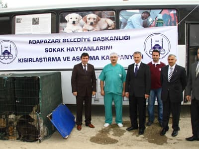 Sokak Hayvanlarını Kısırlaştırma ve Aşılama Kampanyası