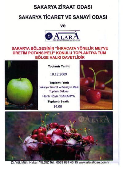 Sakarya'nın Meyvede Üretim Potansiyeli Konuşulacak