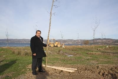 Arifiye Belediyesi Gölbaşı'nı Ağaçlandırıyor
