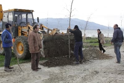 Arifiye Belediyesi Gölbaşı'nı Ağaçlandırıyor