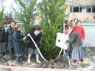 Çaykışla, Ağaçlarla Donatıldı