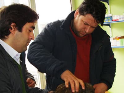 Muhtar Yolda Bulduğu Yaralı Kartalı Tedavi Ettirdi
