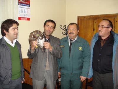Muhtar Yolda Bulduğu Yaralı Kartalı Tedavi Ettirdi