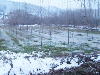 Taraklı Sular Altında