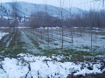 Taraklı Sular Altında