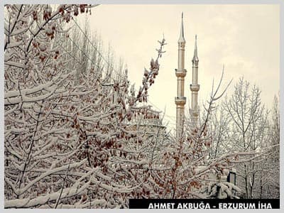 <p><font face="verdana,geneva" size="2">Bitlis'in komşu illerinden vatandaşlar, ara&ccedil;larını dondan kurtarıp &ccedil;alıştırabilmek i&ccedil;in ilgin&ccedil; y&ouml;ntemler denedi. S&uuml;r&uuml;c&uuml;lerden bazıları ara&ccedil;ların altında ateş yakarak motoru &ccedil;alıştırma uğraşı verirken bazı vatandaşların daha &ouml;nceden tedbir aldığı g&ouml;r&uuml;ld&uuml;. Tedbirli s&uuml;r&uuml;c&uuml;ler ara&ccedil;larının &uuml;st&uuml;n&uuml; naylon ile motor b&ouml;l&uuml;m&uuml;n&uuml; de battaniye ve kilim ile kapattı. </font></p><p><font face="verdana,geneva" size="2">Soğuk hava, g&uuml;n boyu dışarıda kalıp ekmek parası kazanmaya &ccedil;alışanlar i&ccedil;in de <strong>'&ccedil;ile' </strong>oldu. Kırıkkaleli pazarcılar tezgahlarının &ouml;n ve i&ccedil; kısımlarında soba yakarak ısınmaya &ccedil;alıştı. </font></p><p><font size="2"><font face="verdana,geneva"><strong>'Soğuğun asıl memleketi'</strong> olarak bilinen Sivas'ta <strong>son 23 yılın rekoru kırıldı.</strong> 1975 yılında eksi 24 olarak &ouml;l&ccedil;&uuml;len en d&uuml;ş&uuml;k ısı <strong>bug&uuml;n eksi 34</strong> olarak &ouml;l&ccedil;&uuml;ld&uuml;. Sıkı sıkıya giyinip sokağa &ccedil;ıkan Sivaslılar, soğuk nedeniyle 'ulaşım' sıkıntısı &ccedil;ekti. &Ccedil;oğu mazot ile &ccedil;alışan ara&ccedil;ların benzin depoları donunca şehiri&ccedil;i ulaşım aksadı. Vatandaşlar, saatlerce durakta beklemek zorunda kaldı. Sivaslı s&uuml;r&uuml;c&uuml;ler de Muş'takiler gibi ara&ccedil;ların 'ateş' ile &ccedil;alıştırdı. </font></font></p>