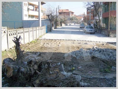 Verdikleri Sözleri Tutuyorlar