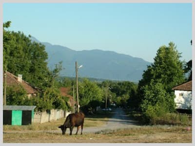 Yağbasan Köyü'nü Ziyaret Edin