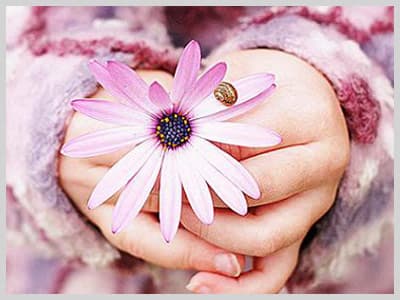 <font face="verdana,geneva" size="2"><br /><br /><br /><br />Kabul ediyorum, kolay değildir bunu başarmak, ama <strong>hayat r&uuml;zg&acirc;rına kendimizi tamamen bırakmak</strong>; bizi nereye savurursa <strong>hi&ccedil; m&uuml;cadele etmeden o y&ouml;ne gitmek</strong> de hayat felsefemiz olmamalıdır kesinlikle.<br />&nbsp;&nbsp;&nbsp; <br /><strong><font color="#000000">Pozitif enerjinin g&uuml;c&uuml;</font></strong>n&uuml; &ouml;nemseyiniz; &ouml;nce kendiniz sonrada etrafındakileri bu enerji ile buluşturmaya &ccedil;alışınız. Bu yazıyı şu anda okuyan herkes, <strong>bir an i&ccedil;in g&ouml;zlerini kapatıp</strong> <font color="#ff0000">hayatlarında var olan t&uuml;m g&uuml;zel şeyler adına <strong>ş&uuml;kredip tebess&uuml;m etsinler.</strong></font> İ&ccedil;lerindeki o g&uuml;zel sevginin, o sevgiyle g&uuml;&ccedil;lenecek enerjinin fakına varsınlar yeter. Gerisi kendiliğinden gelecektir nasılsa.<br /><br /><strong>Sevgi hem kendimiz hem de sevdiklerimiz i&ccedil;in en g&uuml;zel hayat ilacıdır.</strong> </font>