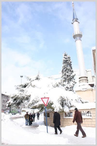 Unutulmayacak Bir Şubat