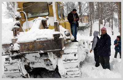 Hayvanlar Donmaktan Kurtarıldı