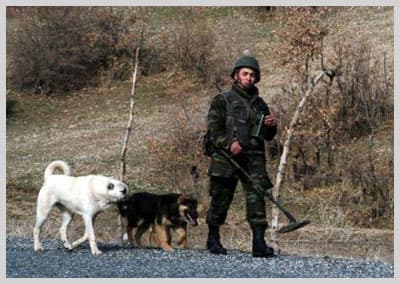 Sınırdan Son Fotoğraflar