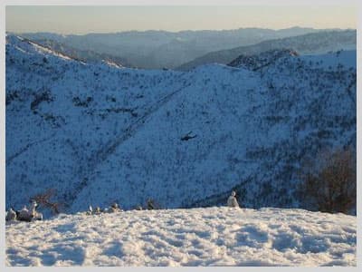 İşte Harekattan Son Fotoğraflar 