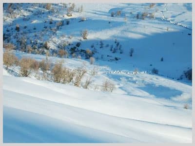 İşte Harekattan Son Fotoğraflar 