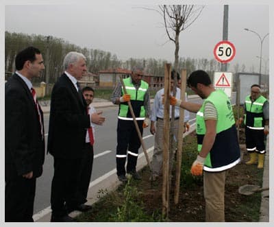 Büyükşehir, Şehri Ağaçlandırıyor