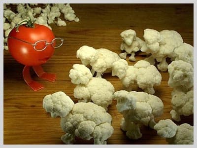 Sanat Sınır Tanımıyor