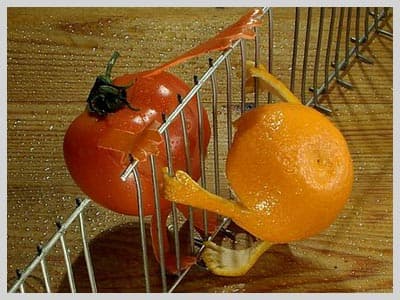 Sanat Sınır Tanımıyor