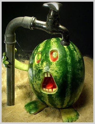 Sanat Sınır Tanımıyor