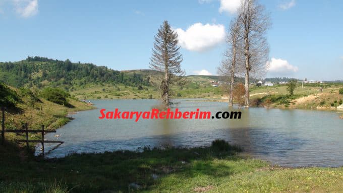 Acelle Yaylası şenlikleri başlıyor... (Detaylar)