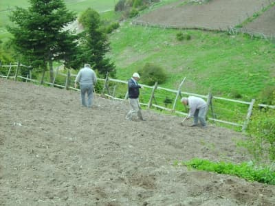 Akyazı'da Yayla Hazırlıkları Başladı
