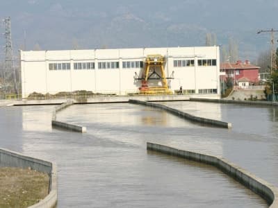 Mersin Balığı İle Alabalık Türü Azaldı
