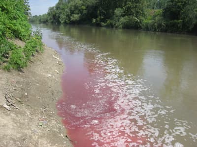 Sakarya Nehri Kızıla Boyandı