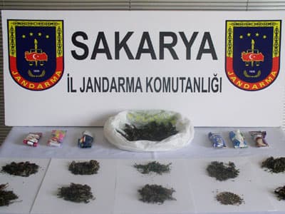 Sakarya'da Esrar Operasyonu