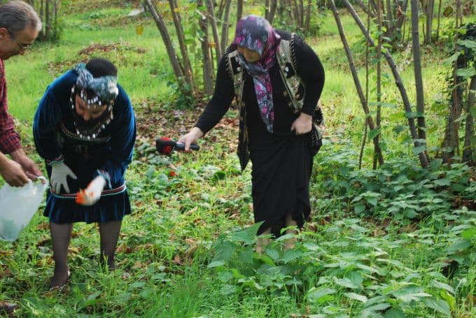 İkballe Diyar Diyar Kocaali&#8217;de