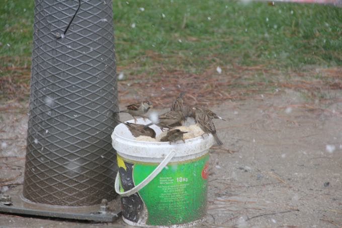 Sakarya'da kar hayatı olumsuz etkiliyor
