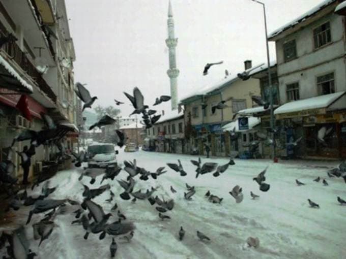 Taraklı'dan güzel manzaralar
