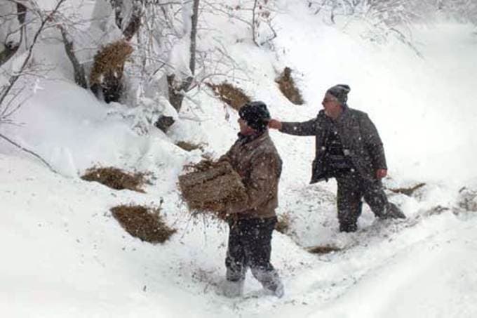 Orman ve Su İşleri yaban hayvanlarını unutmadı