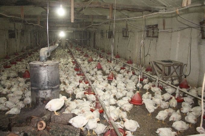 Eriyen kar suları heyelana neden oldu