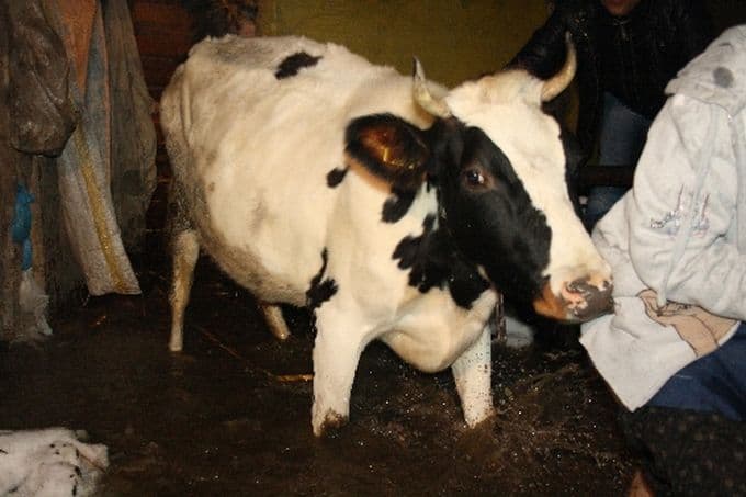Eriyen kar suları heyelana neden oldu