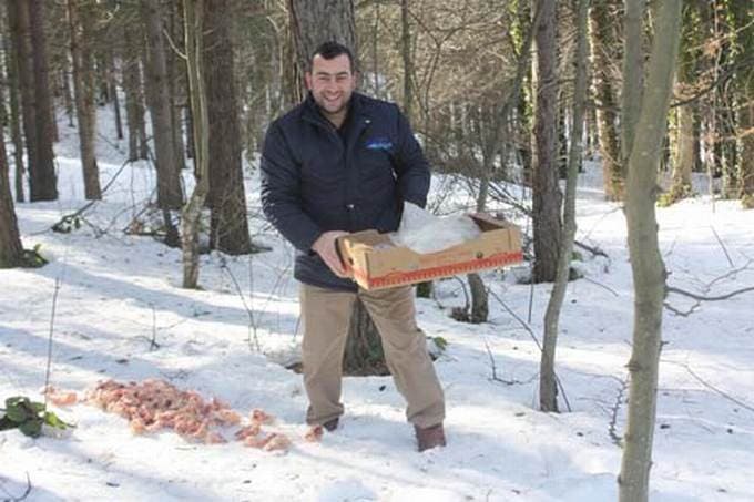 Yaban hayvanlarına 2 ton yem atıldı